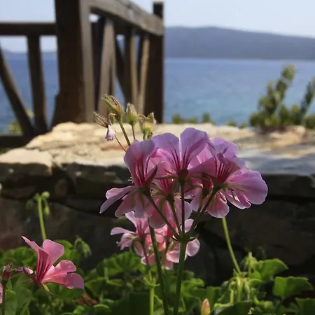 Casa Kalypso Apartmán