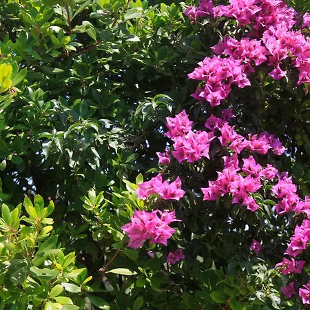 شقة Casa Kalypso *