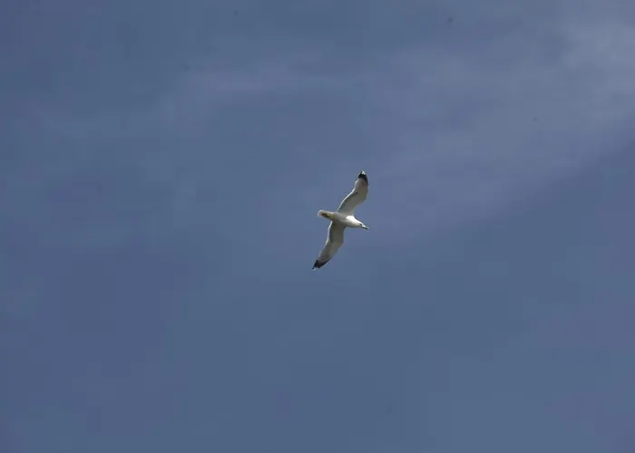 Casa Kalypso Apartament